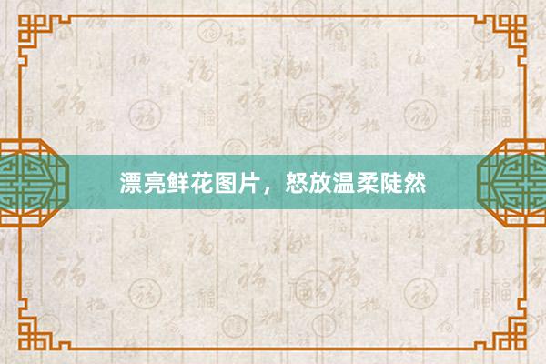 漂亮鲜花图片，怒放温柔陡然